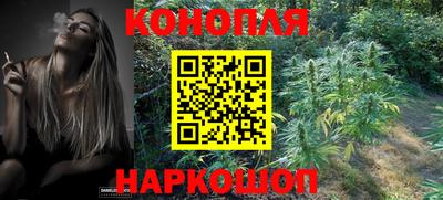 гидропоника Нальчик