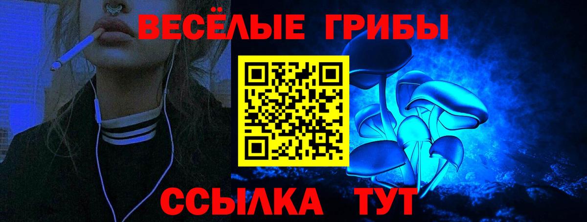 Псилоцибиновые грибы мицелий  Вход с VPN  Галлюциногенные грибы Psilocybe  Тверь 