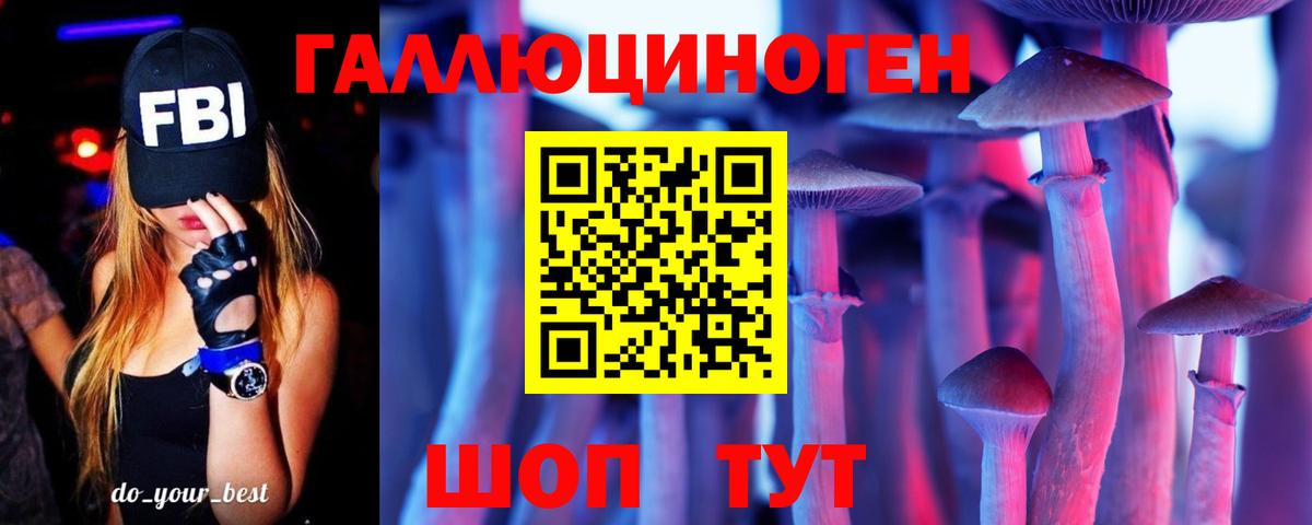 Псилоцибиновые грибы Cubensis Тверь